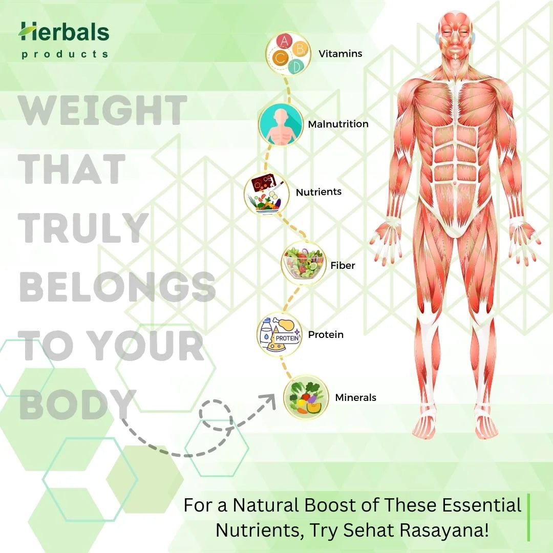 Sehat Rasayana  The Herbal Solution Health/ Fitness