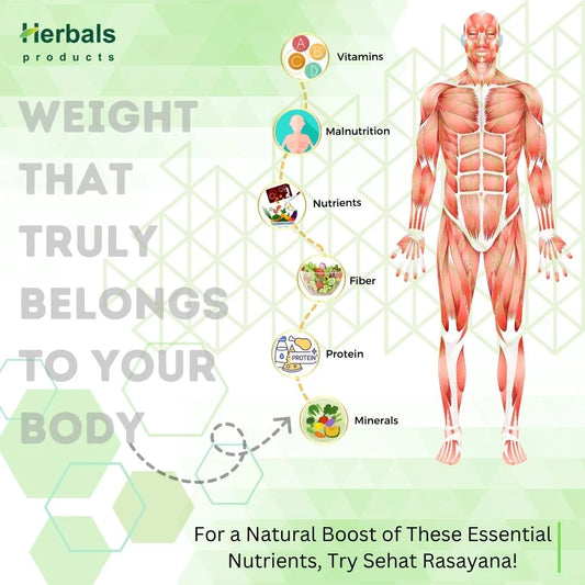 Sehat Rasayana  The Herbal Solution Health/ Fitness