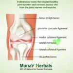 Dard Sudha-Natural Pain Relief Herbal Aruvadic Formula medicine