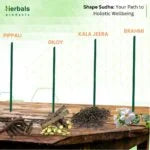 Shape Sudha: Best Body Shape Naturally | weight balance